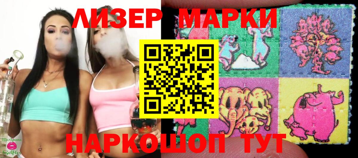 Губкин  Марки NBOMe 1500мкг  Марки NBOMe  Вход с VPN 