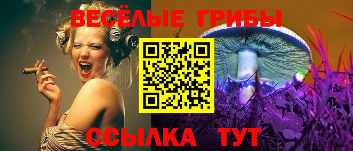 Губкин  Псилоцибиновые грибы MAGIC MUSHROOMS  Вход с VPN 