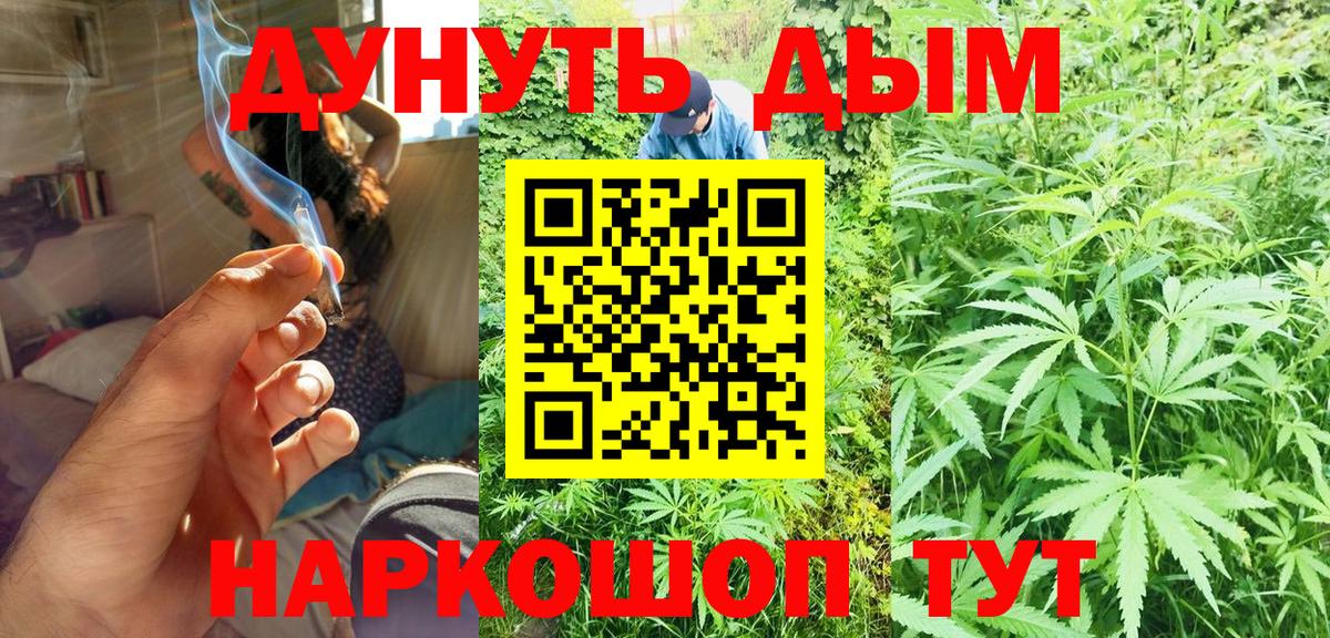 Губкин  Конопля ГИДРОПОН  Вход с VPN  Бошки марихуана план 
